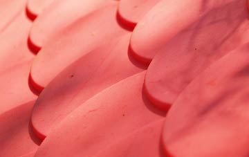 Wootton Courtenay plastic roof costs