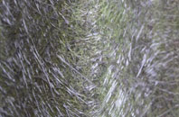 Wootton Courtenay fibreglass roof work